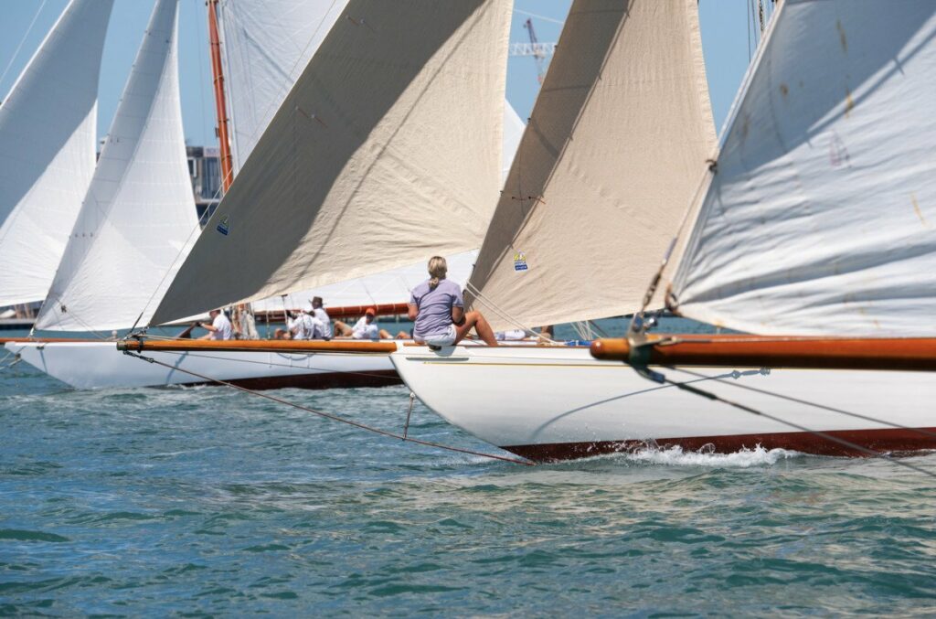 auckland regatta