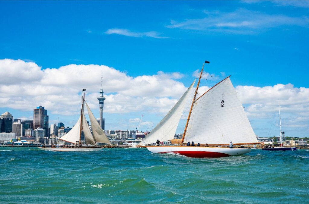 auckland regatta