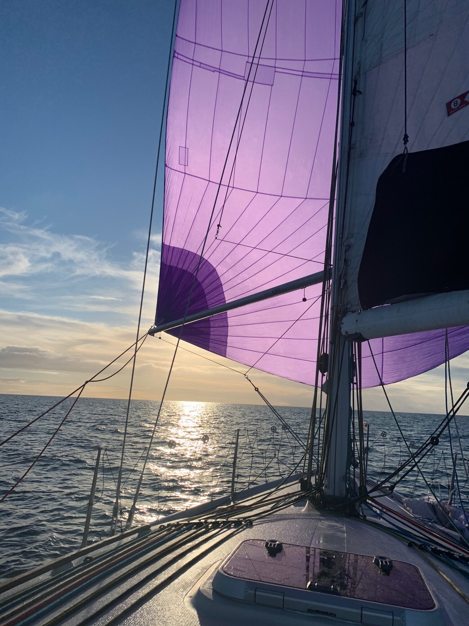 South Australians give Sydney Hobart a ‘punt’ Mysailing