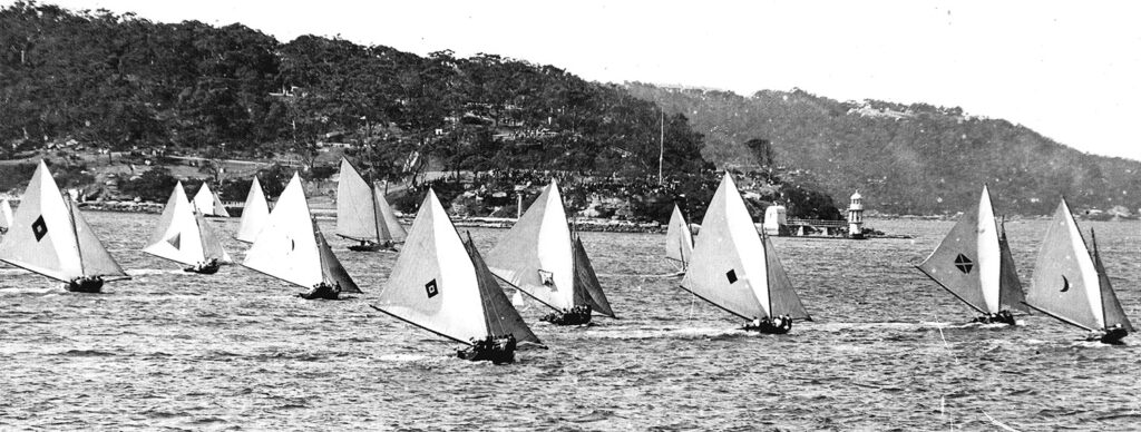 18ft skiffs sailing on sydney harbour. Headland in background.