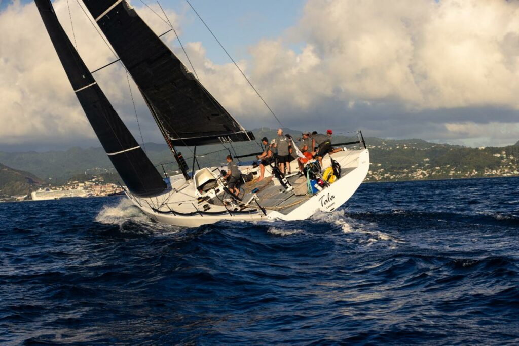 Tala sailing upwind, towards land.