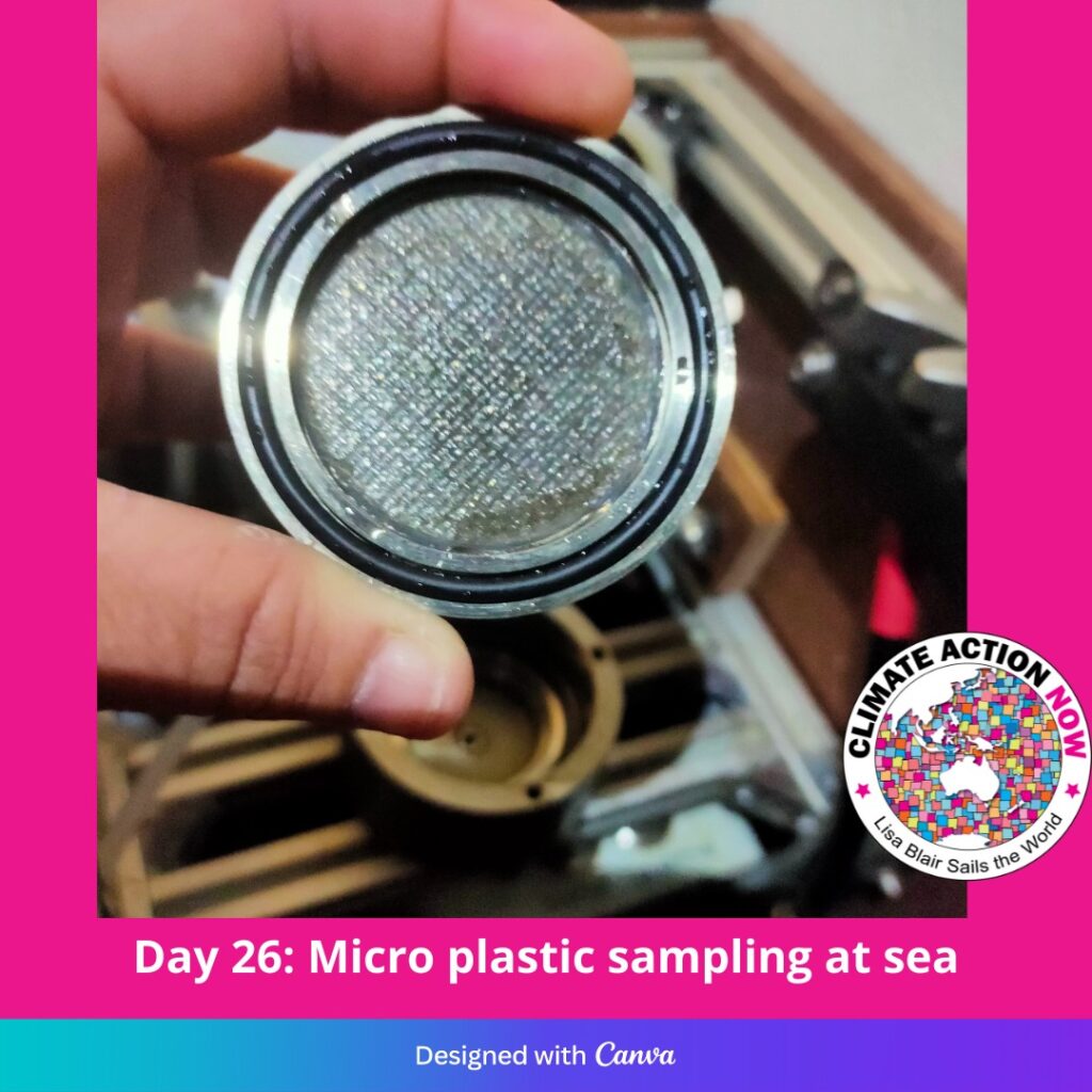 Microplastics filter.