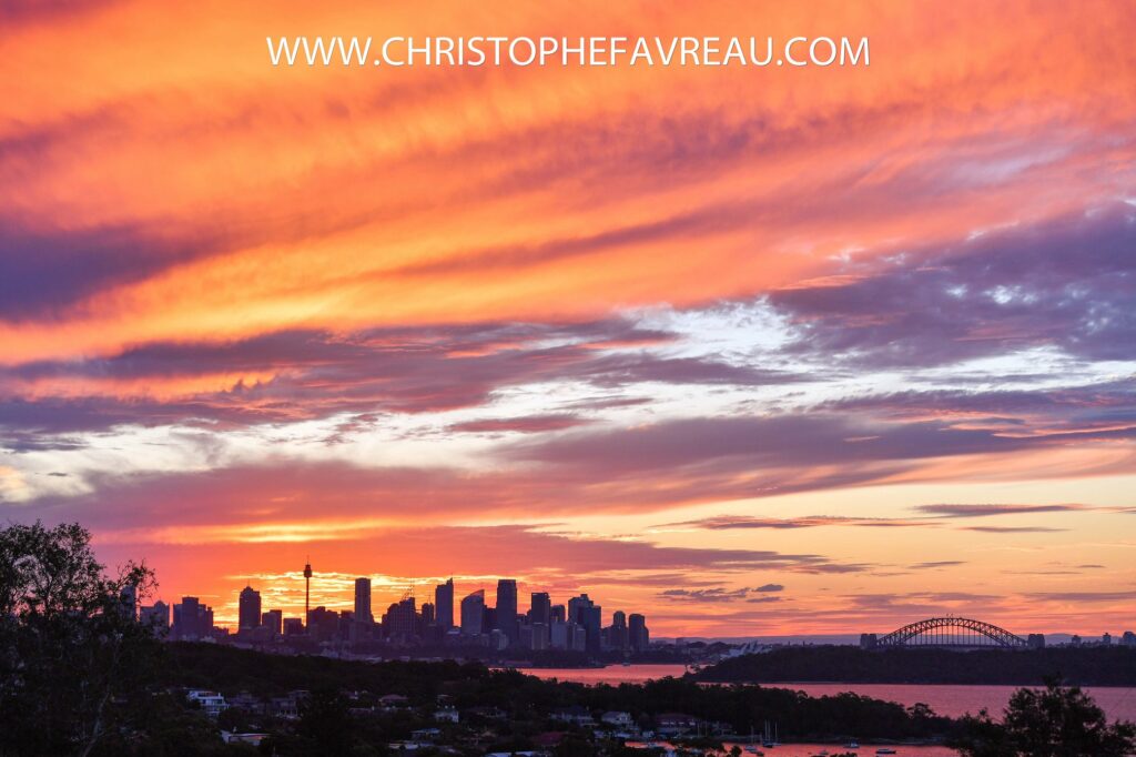 Sydney sunset, harbour bridge and city skyline in the background.