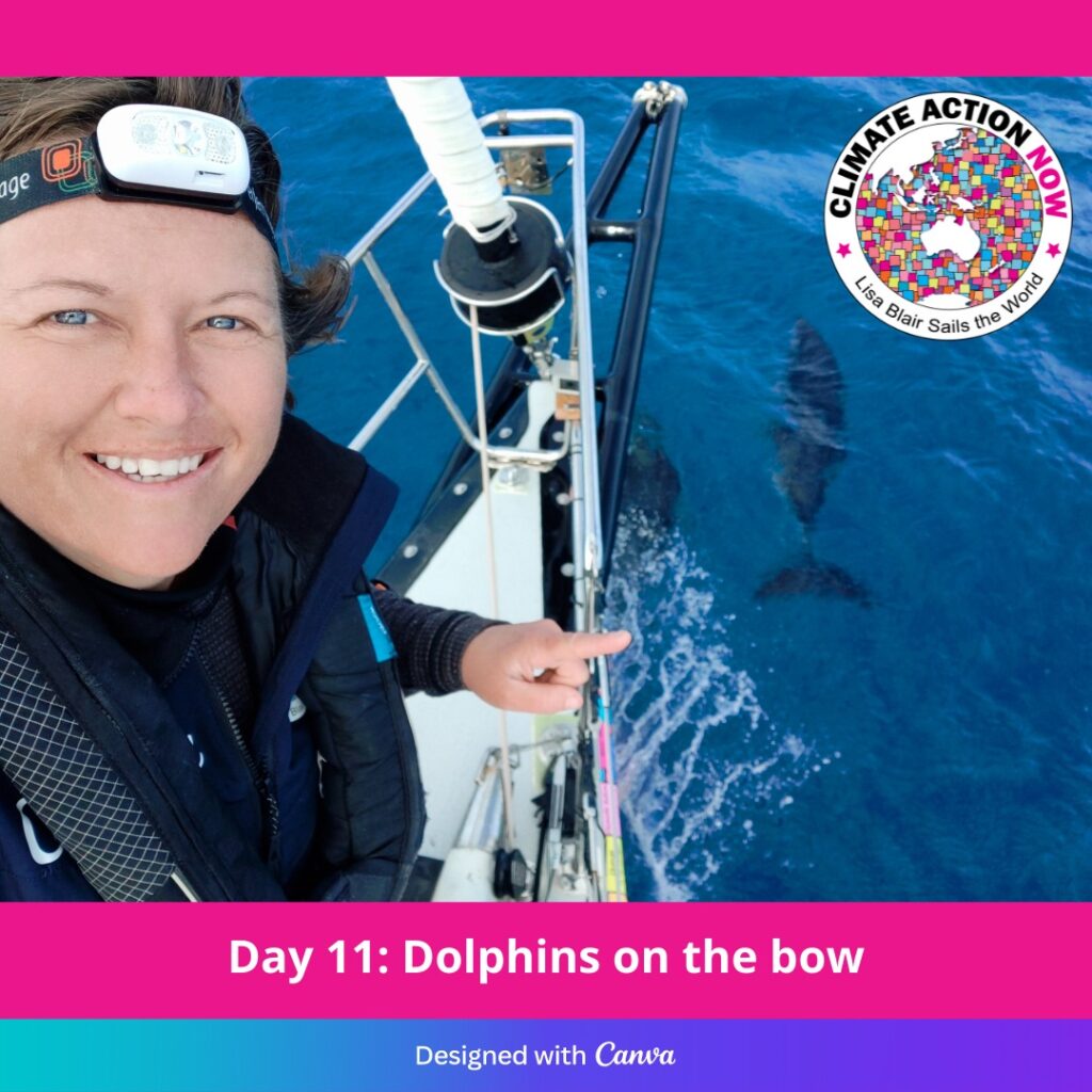 Lisa Blair slefie on bow, dolphins in the water.