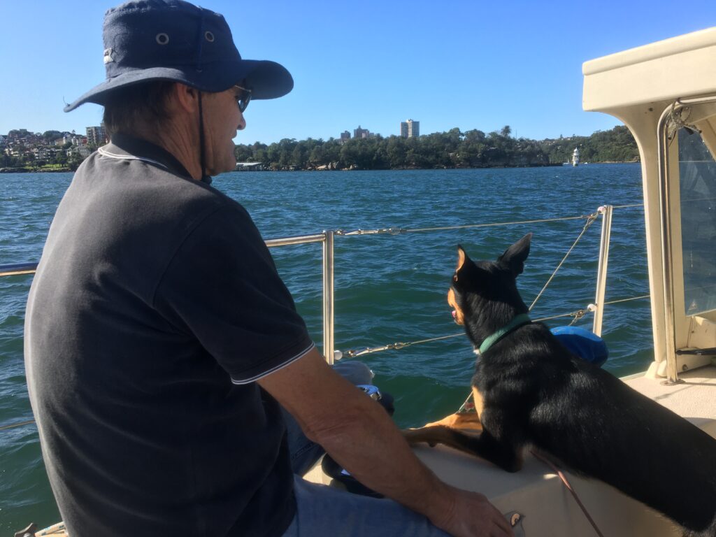 Person and dog sitting on side of cockpit looking out to harbour.