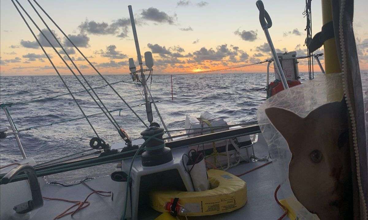 sydney to hobart yacht winners