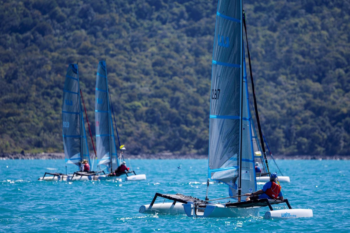 George Owen (foreground) is the standout in the Wetas - Andrea Francolini, ABRW pic (1)