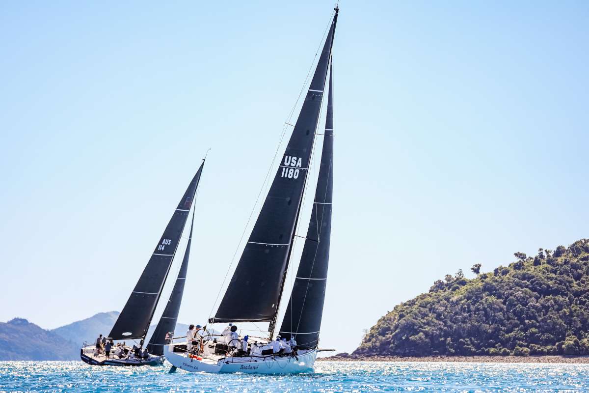 HIRW25 Seeking Alpha and Bacchanal - credit Salty Dingo