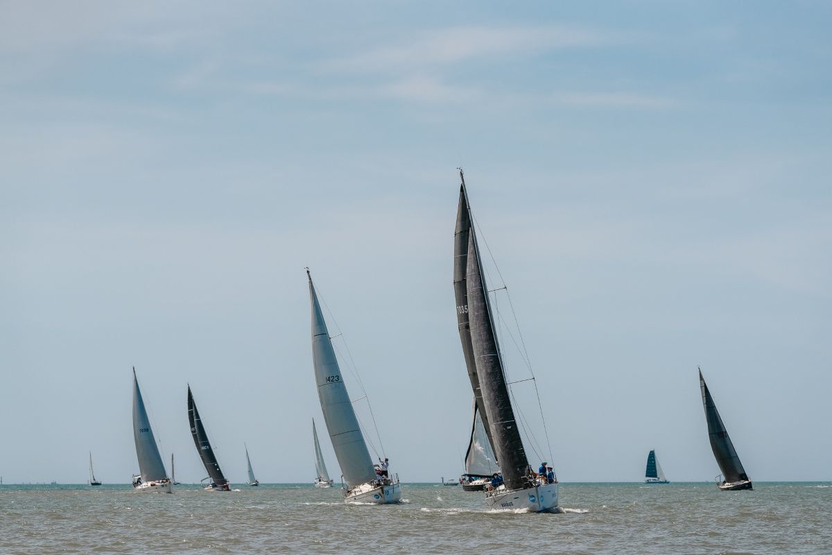 Breeze lightened on the spinnaker run - Revolution Productions pic