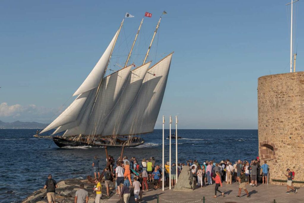 Les Voiles de Saint-Tropez