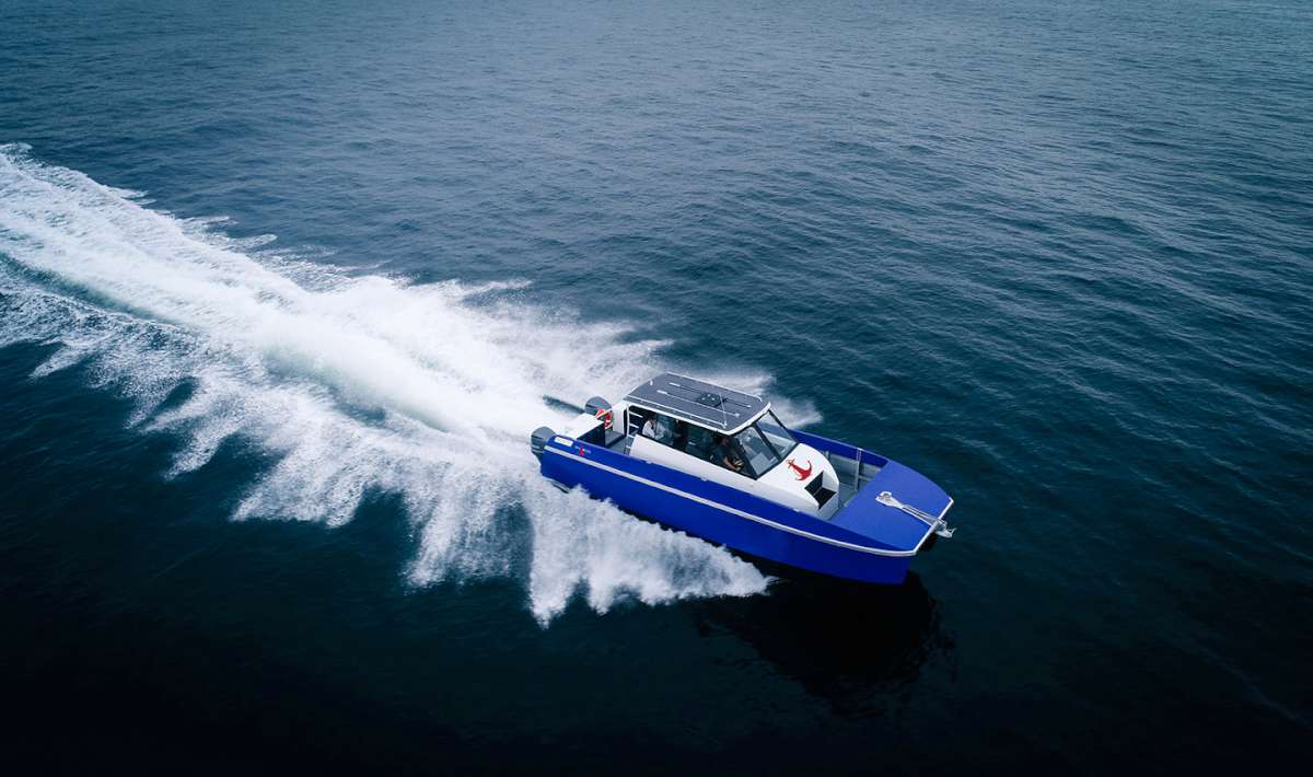 SailMedia Camera Cat (SailMedia).JPG