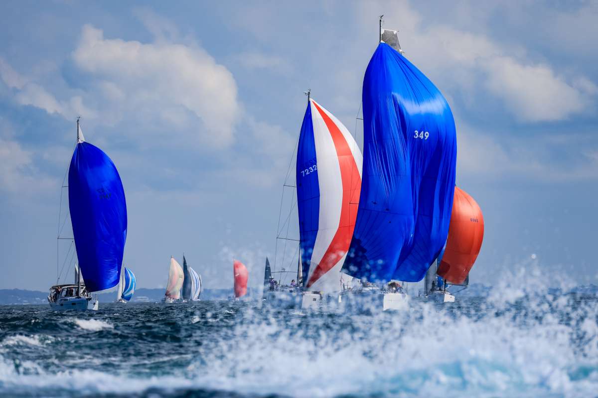 Sail Port Stephens © Salty Dingo 2024