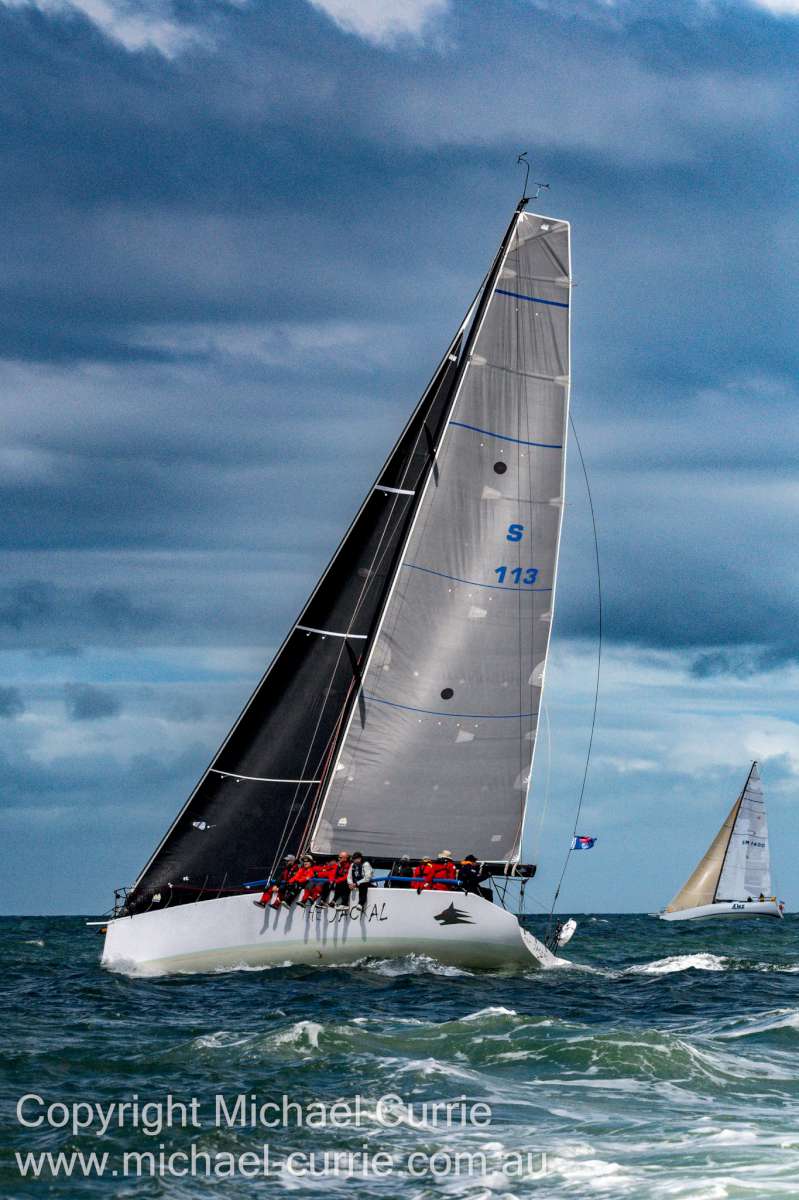 The Jackal _ Photo by Michael Currie-1200