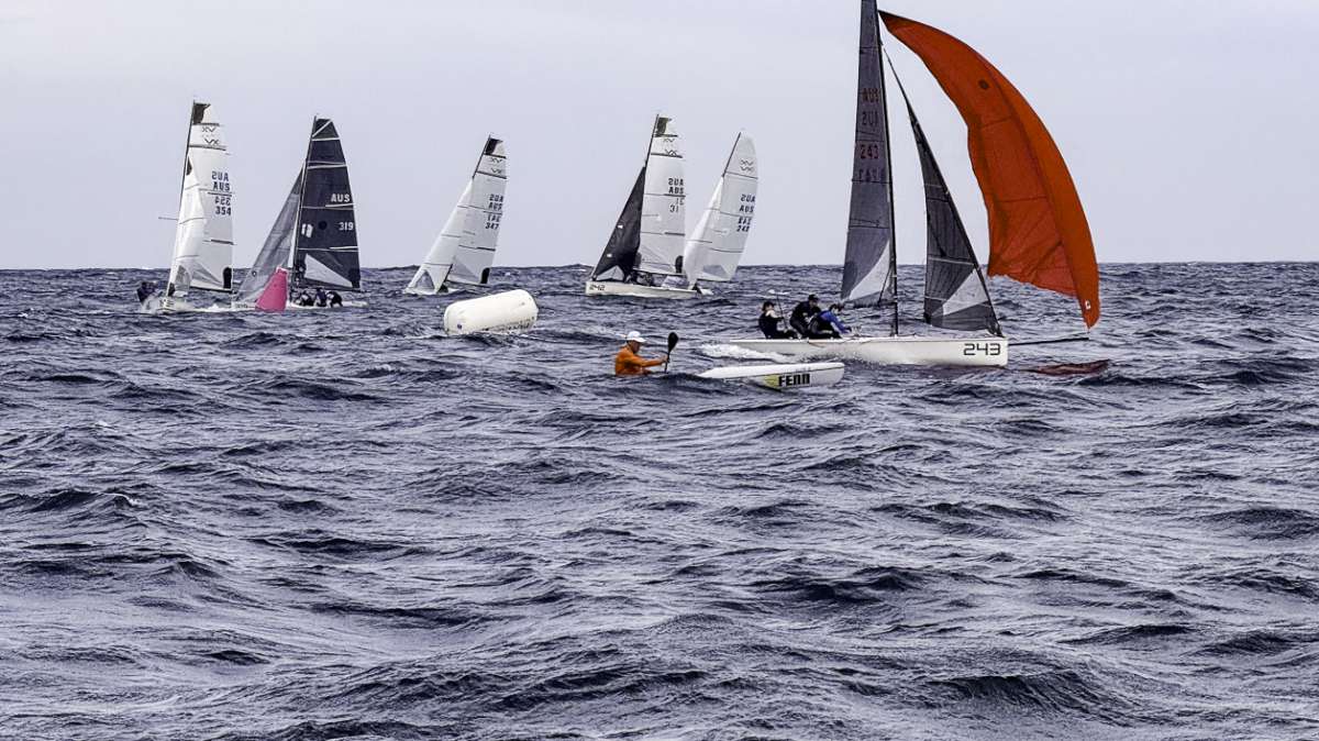 Paddler versus Let's Dance