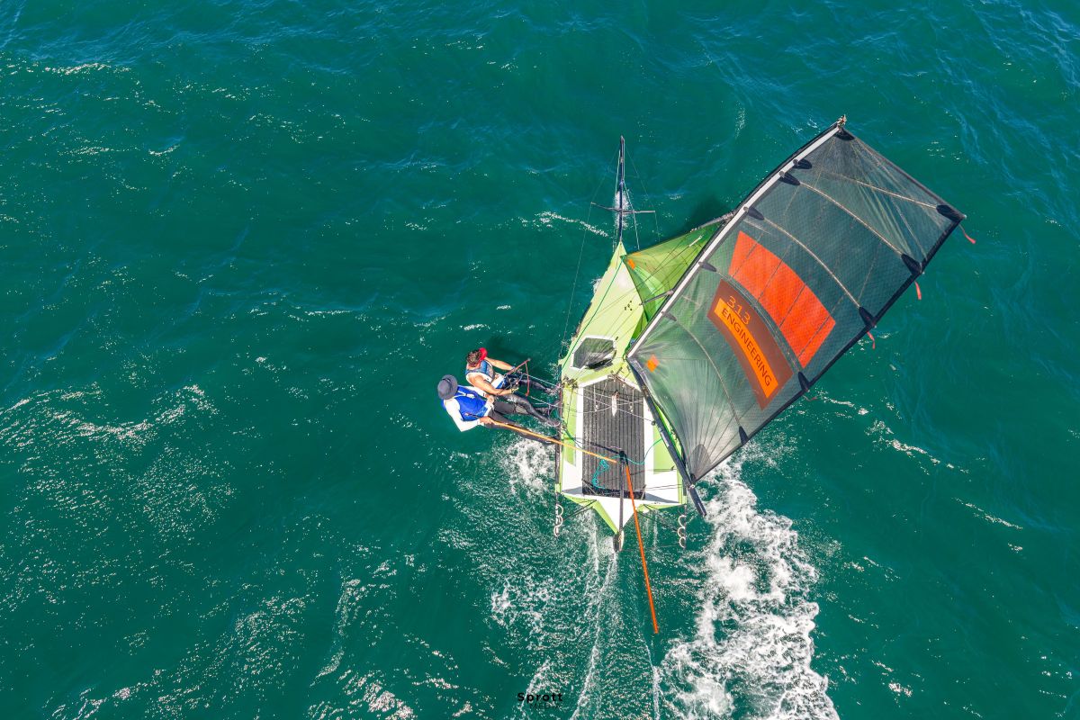 Arrogant Frog from aloft - credit @sprottmedia