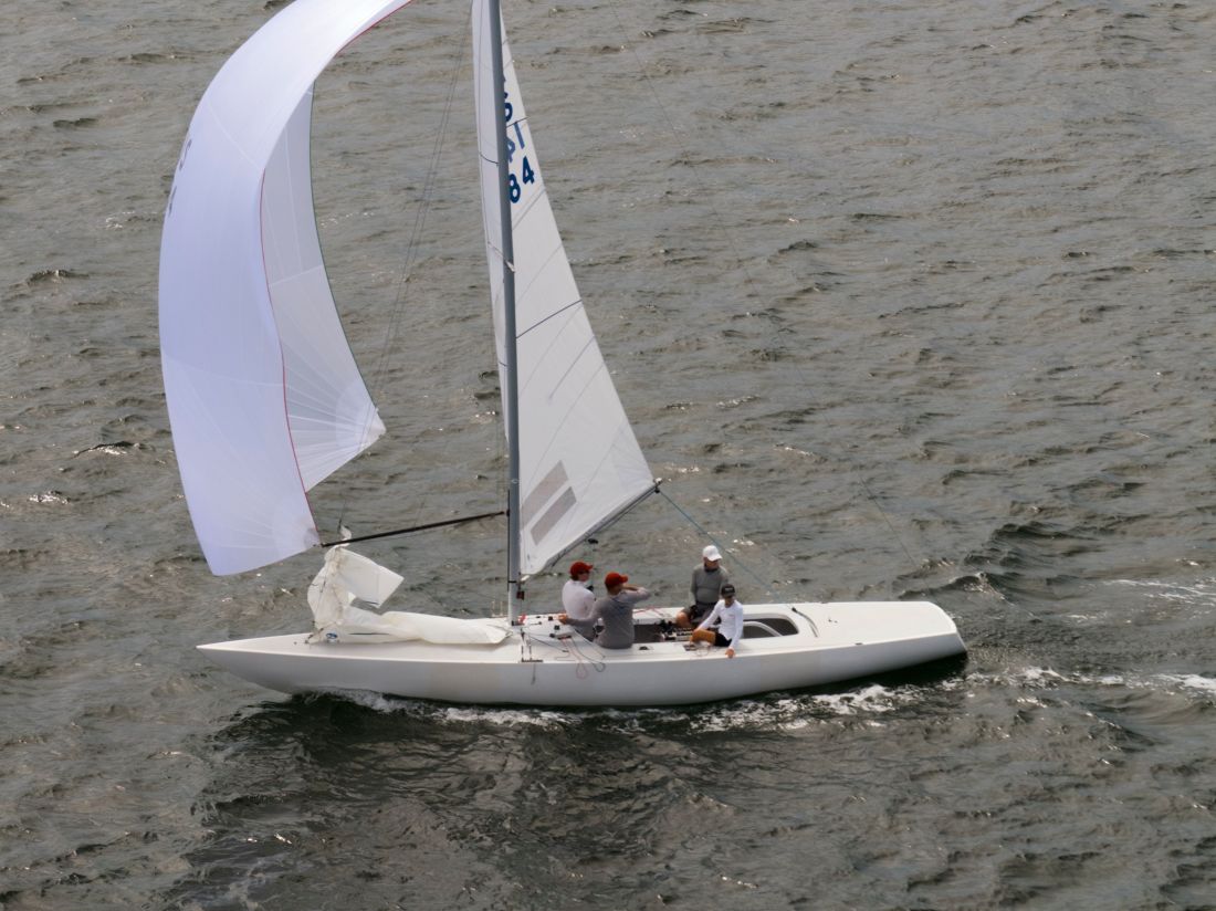 Martin Hil's past winner Lisa Rose - credit Hippodrone