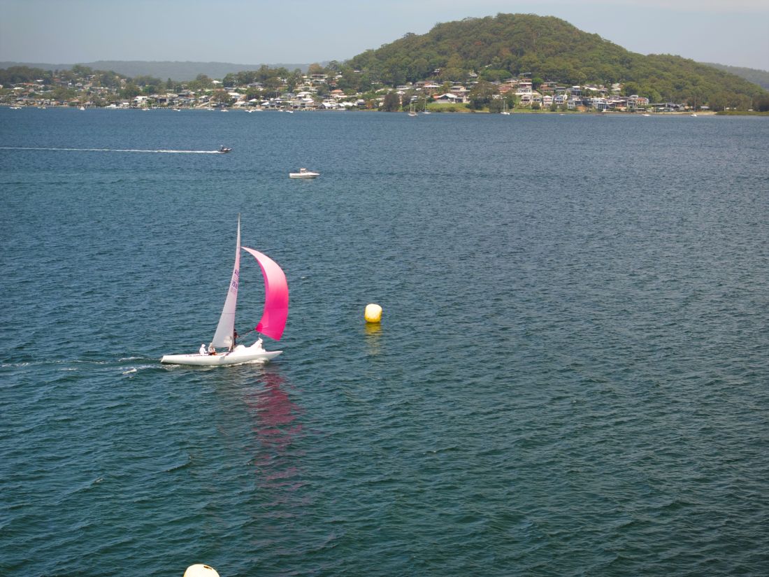 Flying High takes aim at the mark on the way to third overall - credit Hippodrone