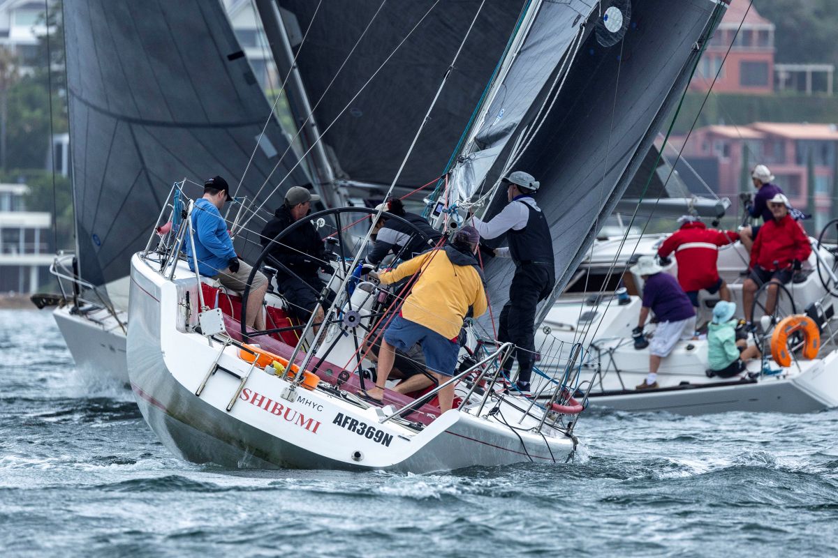 Dog eat dog in the Performance division - Andrea Francolini, MHYC pic