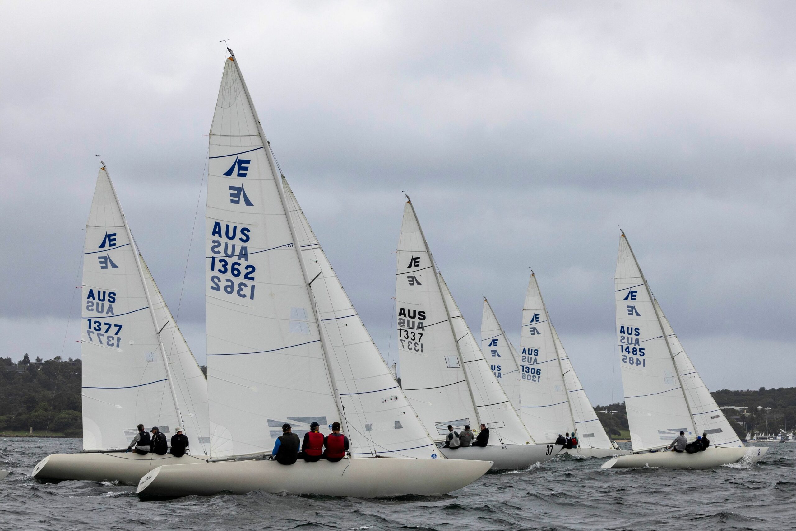 Etchells away in 2024 - Andrea Francolini, MHYC pic