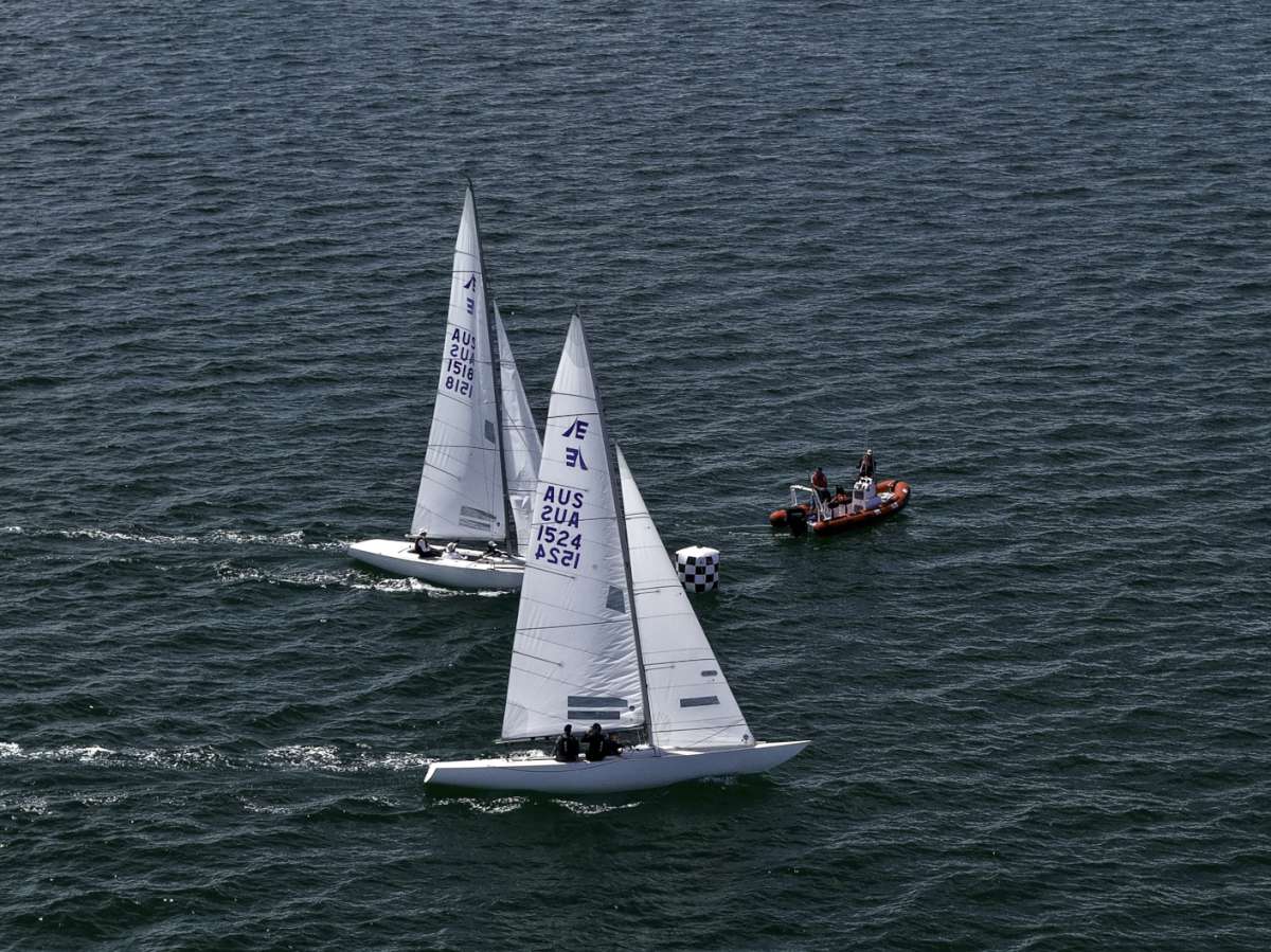 Tiger winning the last race over Flying High - Terry Calley for Hippodrone