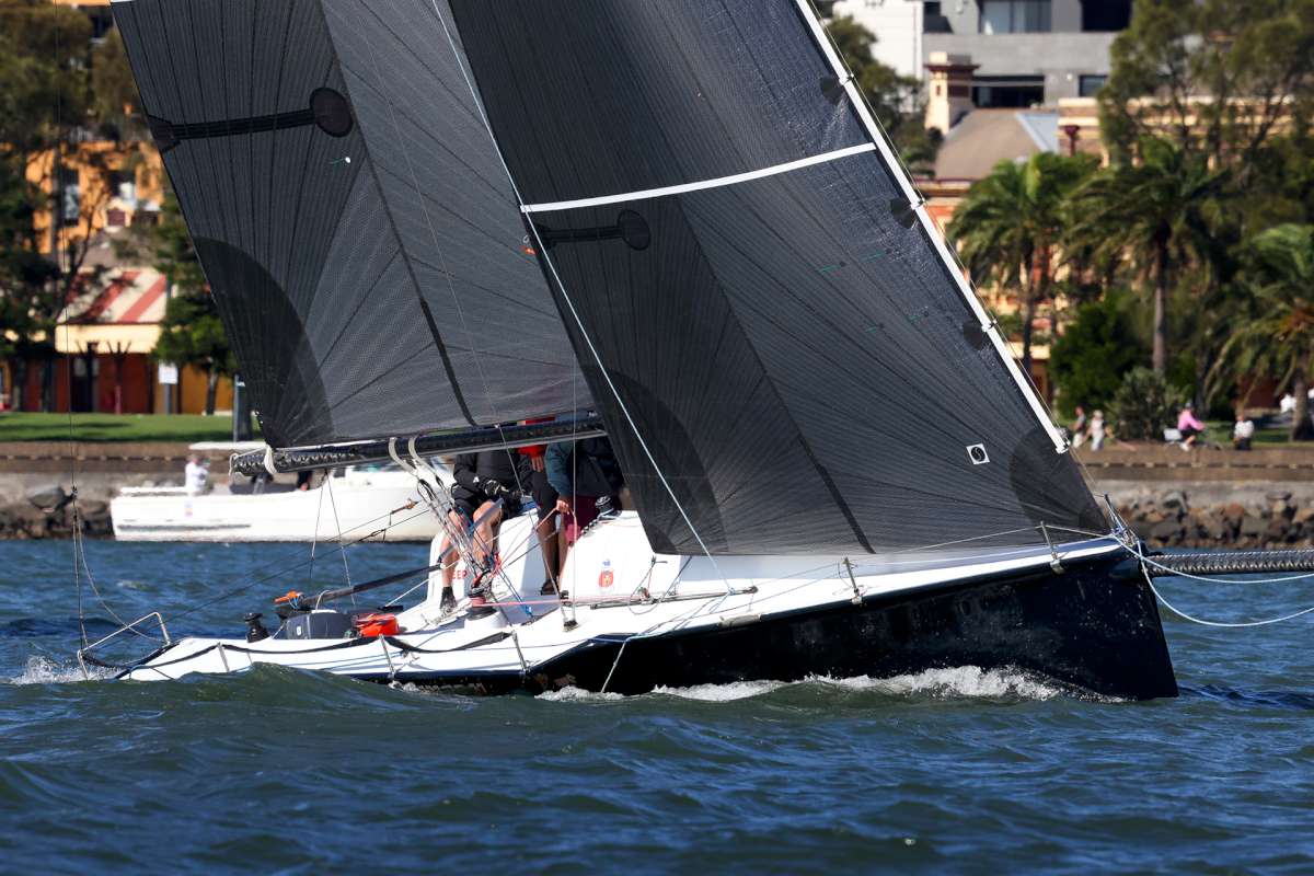 Newcastle-Port Stephens Race 2026_Road Runner