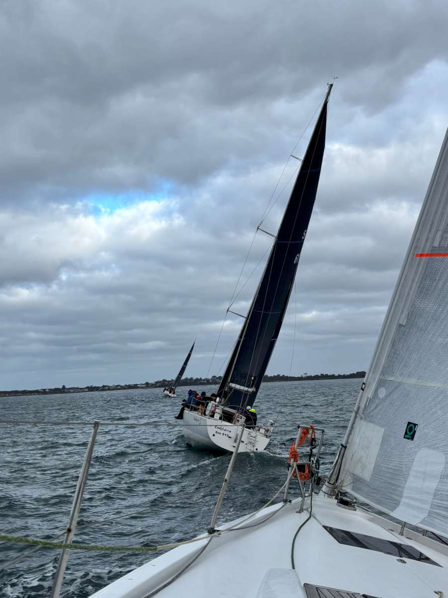 Shimmer chasing Cadibarra and Ginan at the start Photo Shaun McKenna