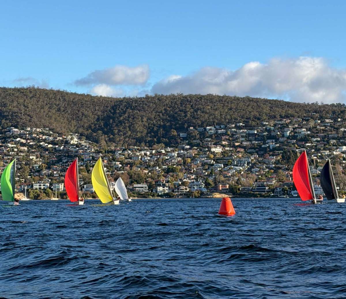 The Fleet in the 2026 SB20 Tas School Champs Image Eirini Marios
