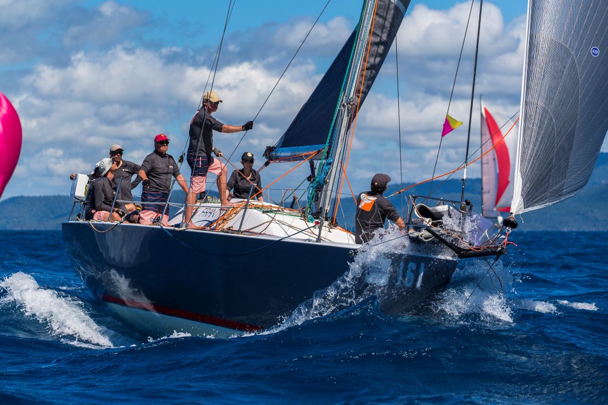 Frantic on the race course in 2016 - Andrea Francolini, ABRW pic