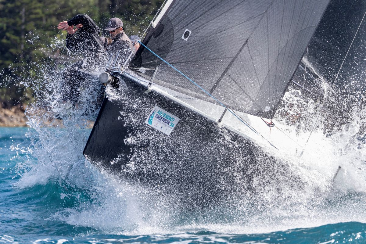 Road Runner - bow up and loving it - Andrea Francolini, ABRW pic