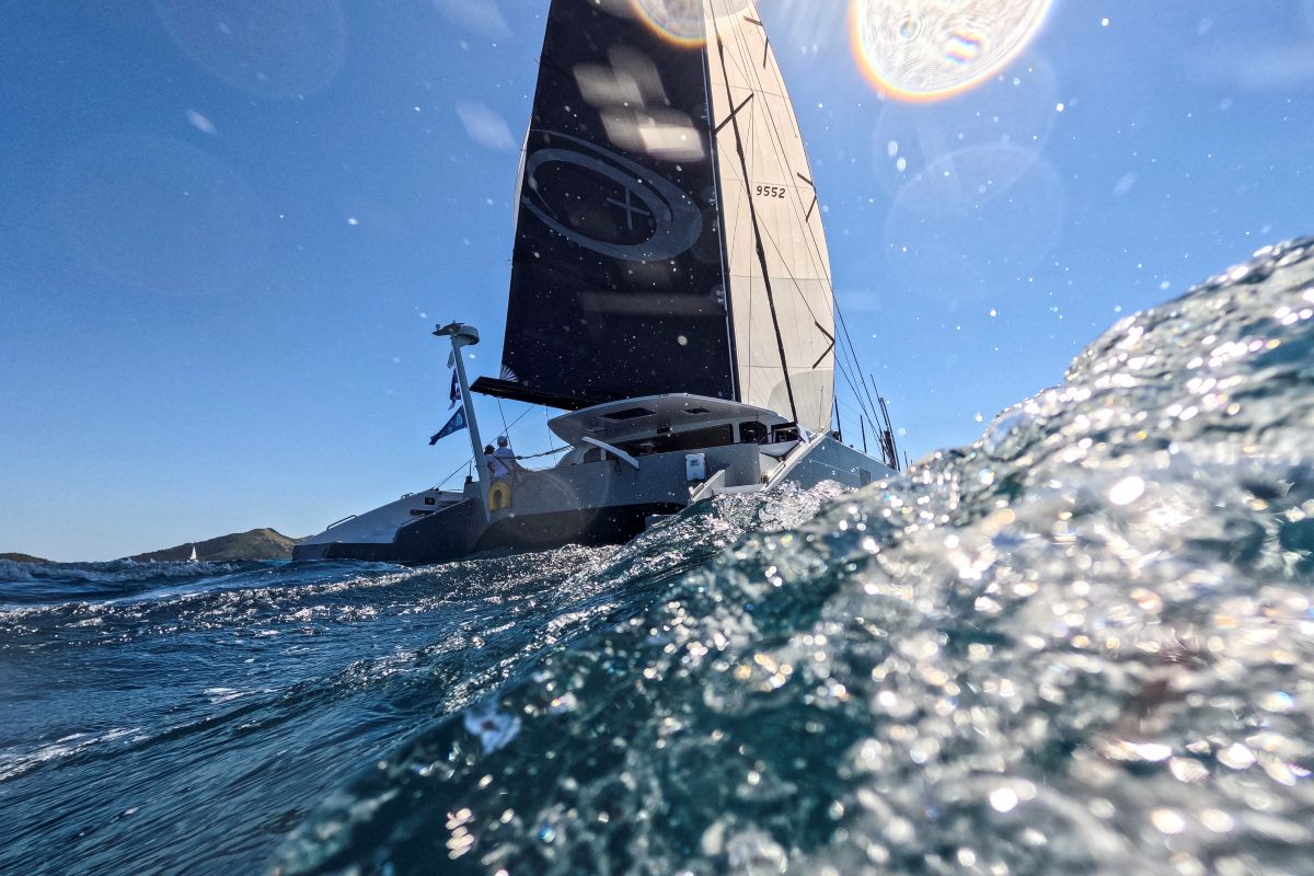Cat+Ion from New Zealand - Andrea Francolini, ABRW pic