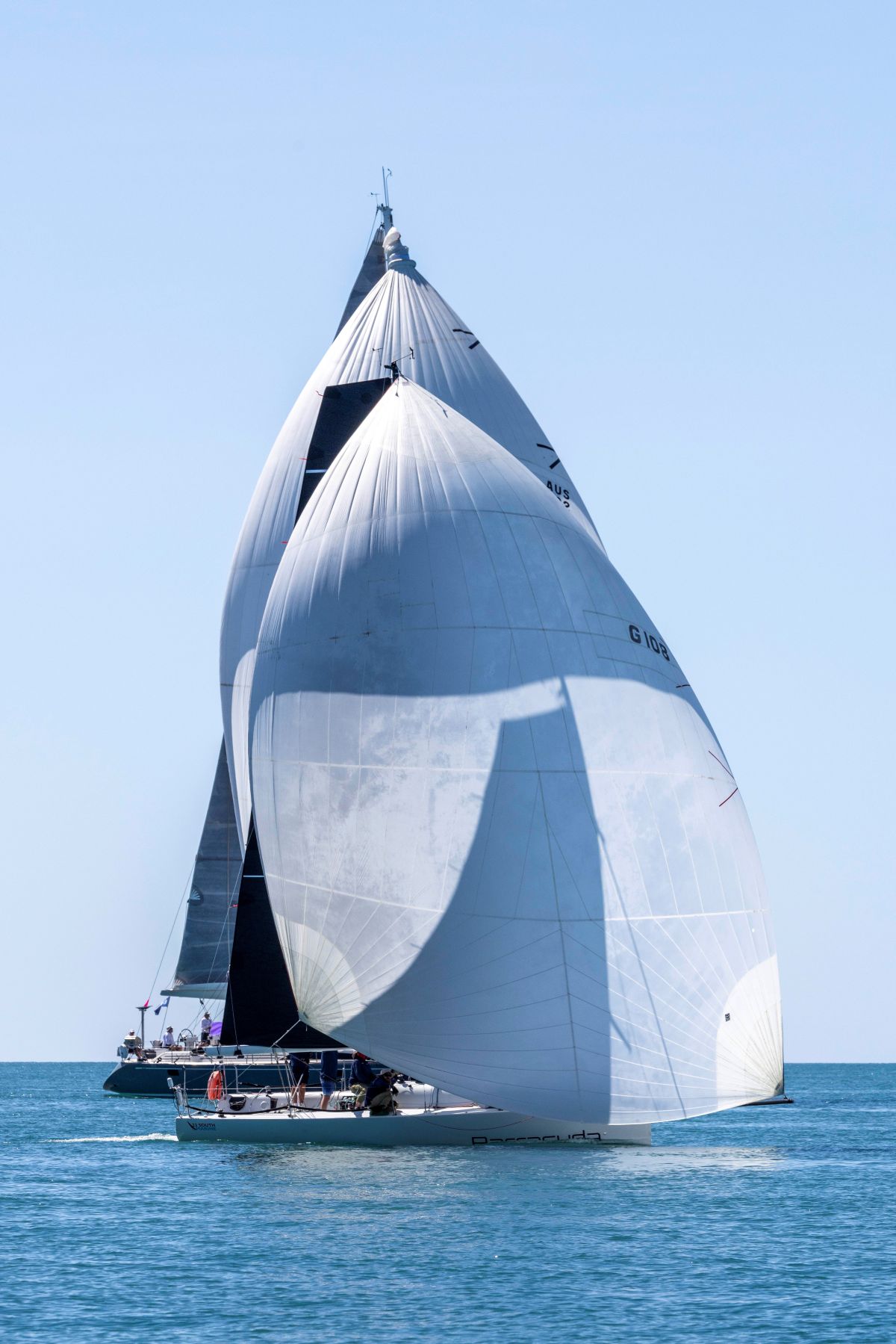 Barracuda keeping company with the big boys - Andrea Francolini, ABRW pic