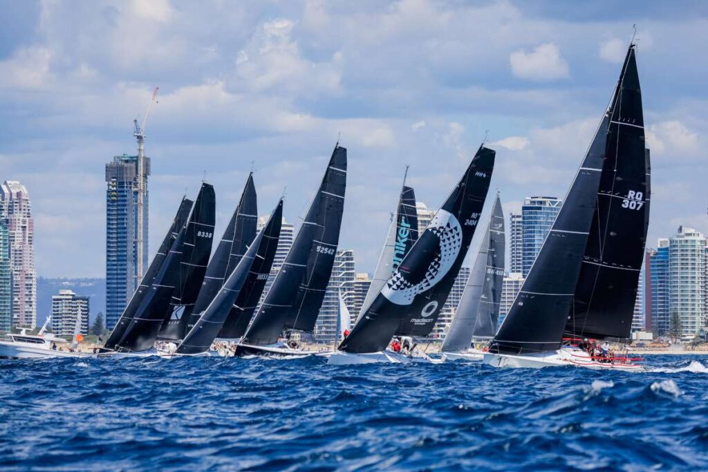 Sail Paradise 2026 © Salty Dingo 2026