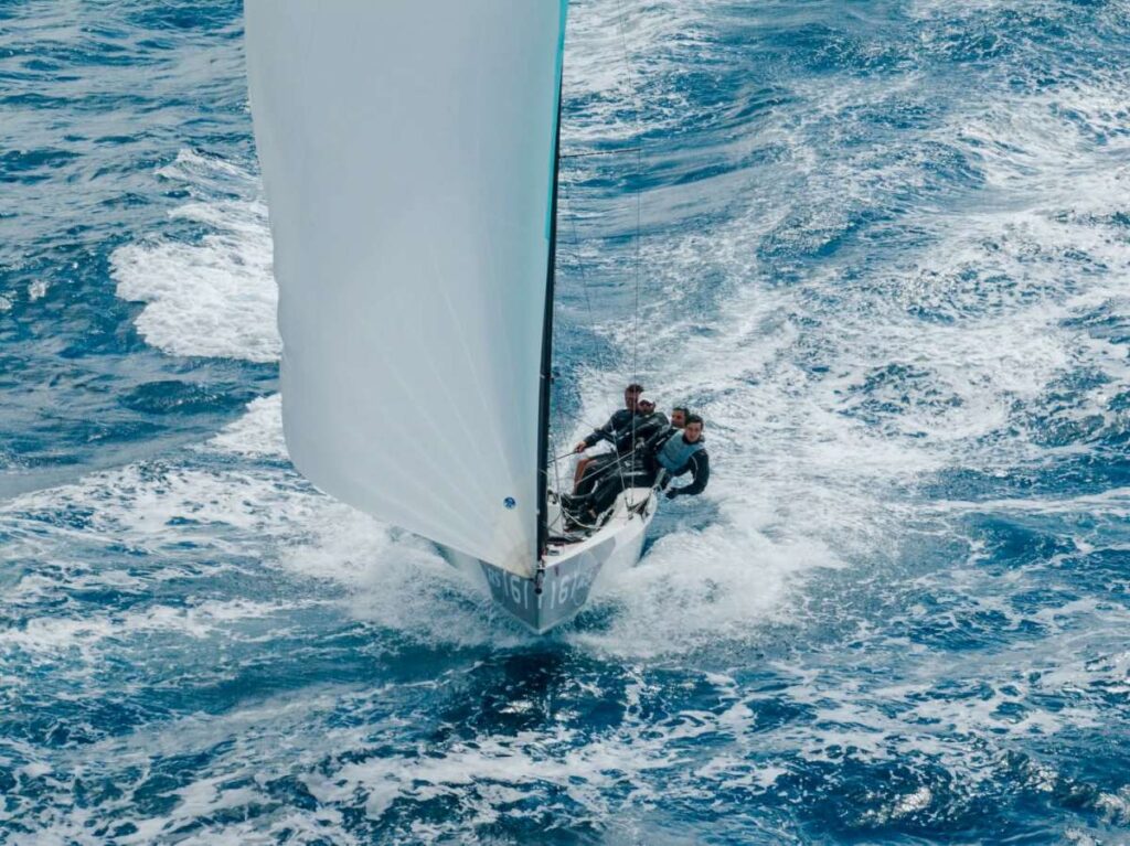 T-Rex Sailing © Code Zero Digital